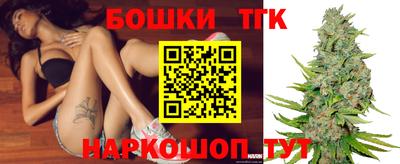 стафф Новодвинск
