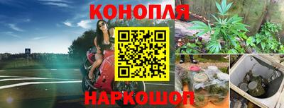 apvp Новозыбков